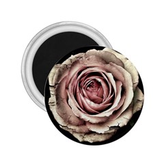 Vintage Rose 2 25  Magnets by vintage2030