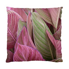 Pink Leaves Standard Cushion Case (two Sides) by snowwhitegirl