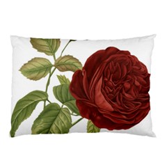 Rose 1077964 1280 Pillow Case by vintage2030