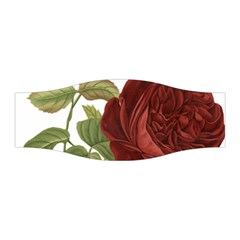 Rose 1077964 1280 Stretchable Headband by vintage2030