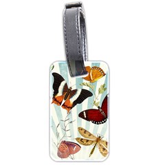 Butterfly 1064147 1920 Luggage Tags (two Sides) by vintage2030