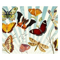 Butterfly 1064147 1920 Double Sided Flano Blanket (small)  by vintage2030