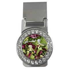 Salad Lettuce Vegetable Money Clips (cz)  by Sapixe