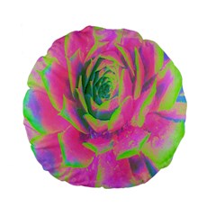 Lime Green And Pink Succulent Sedum Rosette Standard 15  Premium Flano Round Cushions by myrubiogarden