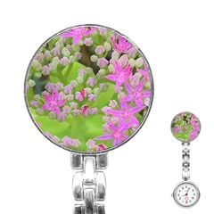 Hot Pink Succulent Sedum With Fleshy Green Leaves Stainless Steel Nurses Watch by myrubiogarden