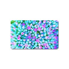 Blue And Hot Pink Succulent Sedum Flowers Detail Magnet (name Card) by myrubiogarden