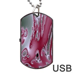 Fractal Gradient Colorful Infinity Dog Tag Usb Flash (two Sides) by Wegoenart