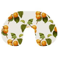 Apricot Fruit Vintage Art Travel Neck Pillows by Pakrebo