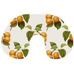 Apricot Fruit Vintage Art Travel Neck Pillows Back