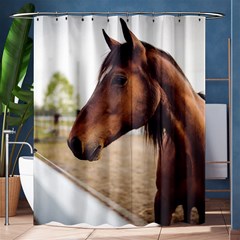 Arabian Horse Shower Curtain 60  X 72  (medium)  by WensdaiAmbrose