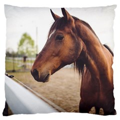 Arabian Horse Large Cushion Case (two Sides) by WensdaiAmbrose