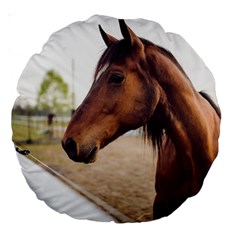 Arabian Horse Large 18  Premium Round Cushions by WensdaiAmbrose