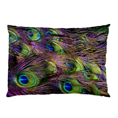 Peacock Feathers Pillow Case (two Sides) by WensdaiAmbrose