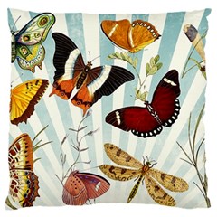 My Butterfly Collection Large Flano Cushion Case (two Sides) by WensdaiAmbrose