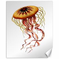 Animal Art Forms In Nature Jellyfish Canvas 11  X 14  by Wegoenart