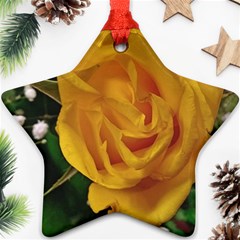 Yellow Rose Ornament (star) by Riverwoman