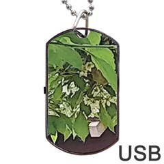 Garden Of The Phoenix  Dog Tag Usb Flash (two Sides) by Riverwoman