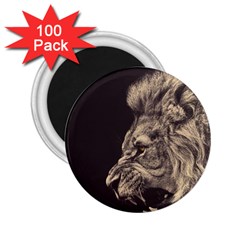 Angry Male Lion 2 25  Magnets (100 Pack)  by Sudhe