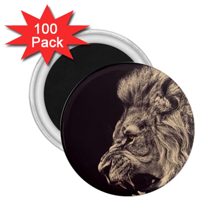 Angry Male Lion 2.25  Magnets (100 pack) 