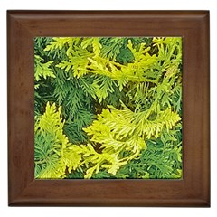 Garden Of The Phoenix Framed Tiles by Riverwoman