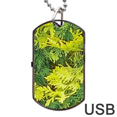 Garden Of The Phoenix Dog Tag Usb Flash (one Side) by Riverwoman