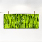 Agricultural field   Hand Towel Front