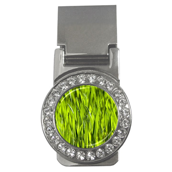 Agricultural field   Money Clips (CZ) 