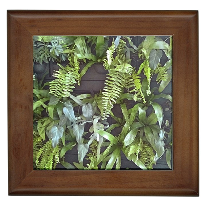 Living Wall Framed Tiles