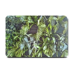 Living Wall Small Doormat  by Riverwoman