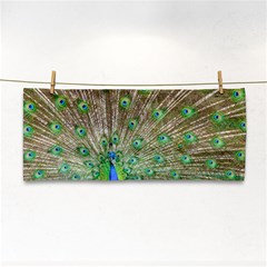 Peacock Color Bird Colorful Hand Towel by Pakrebo