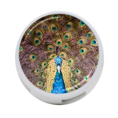 Peacock Feather Peacock Feather 4-port Usb Hub (two Sides) by Pakrebo