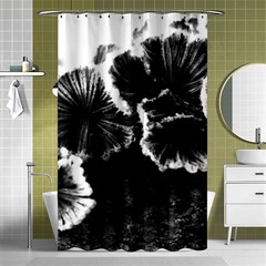 Tree Fungus High Contrast Shower Curtain 48  X 72  (small)  by okhismakingart