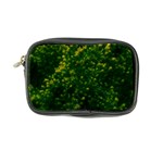 Green Goldenrod Coin Purse Front