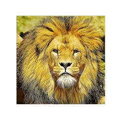 Lion Lioness Wildlife Hunter Small Satin Scarf (square) by Pakrebo