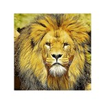 Lion Lioness Wildlife Hunter Small Satin Scarf (Square) Front