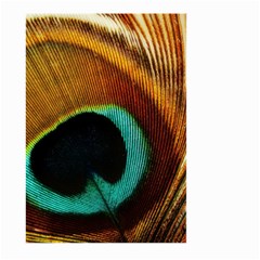 Feather Peacock Feather Peacock Large Garden Flag (two Sides) by Nexatart