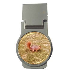 Squirrel Money Clips (round)  by Riverwoman