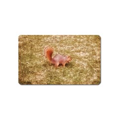 Squirrel Magnet (name Card) by Riverwoman