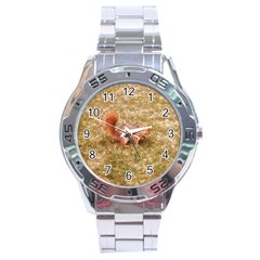 Squirrel Stainless Steel Analogue Watch by Riverwoman