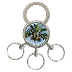 Palm Tree 3-ring Key Chain by snowwhitegirl