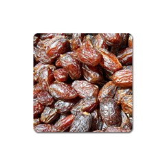 Dates Fruit Sweet Dry Food Square Magnet by Pakrebo