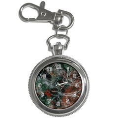 Aerial Photography Of Green Leafed Tree Key Chain Watches by Pakrebo