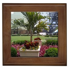 Columbus Commons In Late May  Framed Tiles by Riverwoman