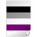 Asexual Pride Flag LGBTQ Canvas 24  x 36  23.35 x34.74  Canvas - 1