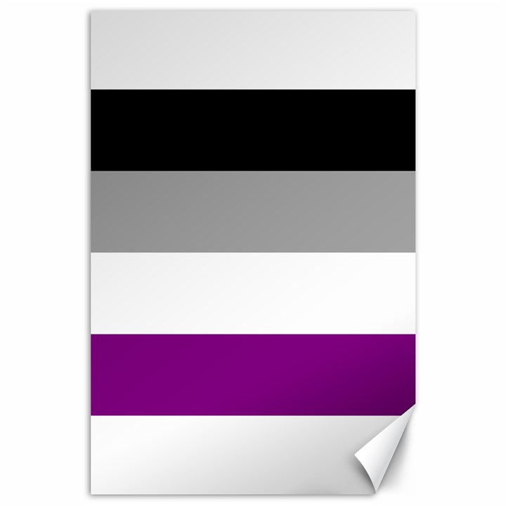 Asexual Pride Flag LGBTQ Canvas 24  x 36 