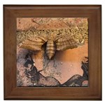 Night moth Framed Tile Front