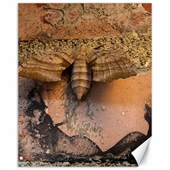 Night Moth Canvas 16  X 20  by Riverwoman