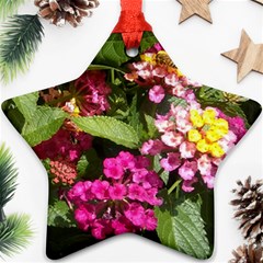 Summer Lantana W Bee Star Ornament (two Sides) by Riverwoman