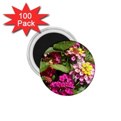 Summer Lantana W Bee 1 75  Magnets (100 Pack)  by Riverwoman