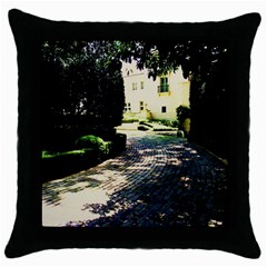 Hot Day In Dallas 1 Throw Pillow Case (black) by bestdesignintheworld